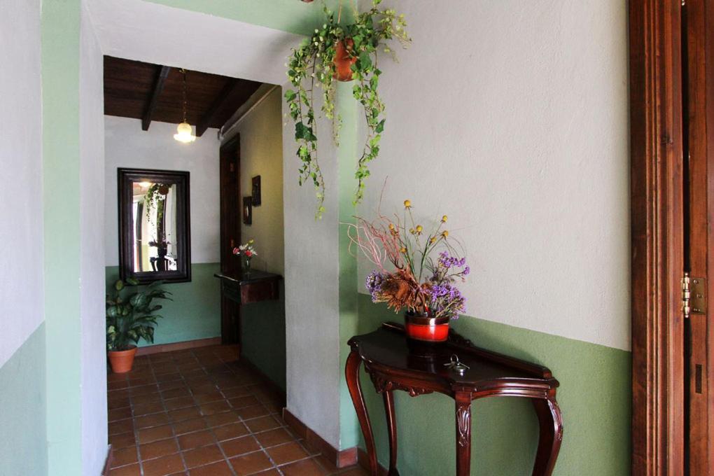 Casa Rural Los Aromos - Wunderschones Landhaus Mit Meerblick Hermigua Eksteriør billede
